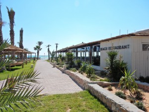 Beach Restaurant